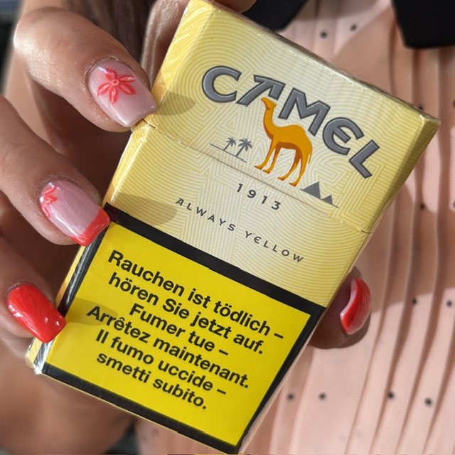 Camel